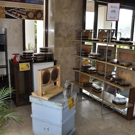 Resort Umut Thermal & Wellness 4*