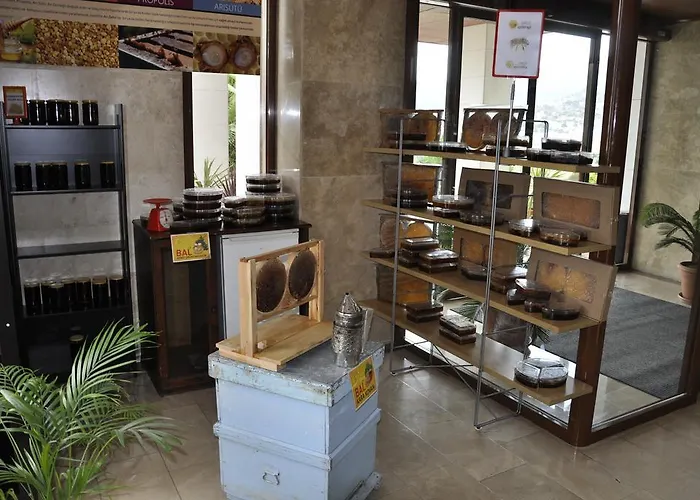 リゾート Umut Thermal & Wellness 4*